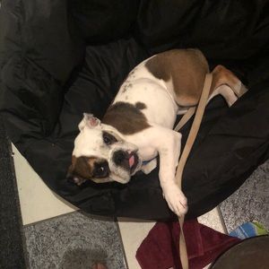 Meet your Posher, Jadie